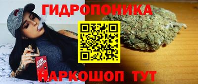 гашик Ачхой-Мартан