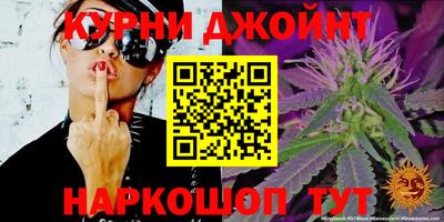 гидропоника Аша