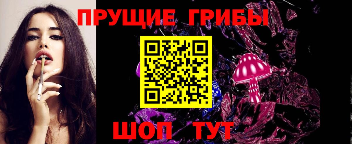 Вязьма  Галлюциногенные грибы Psilocybe  Вход с VPN 